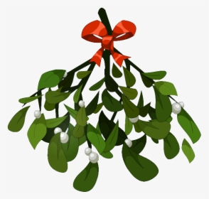 Mistletoe Png, Transparent Png, Free Download