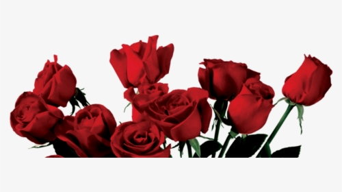 Transparent Rose Clipart - Aesthetic Red Rose Png, Png Download, Free Download