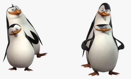 Penguins Of Madagascar Png Free Download - 4 Penguins From Madagascar, Transparent Png, Free Download