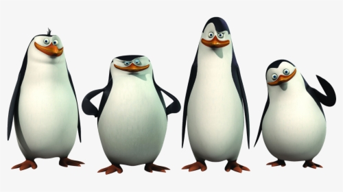 4 Penguins From Madagascar, HD Png Download, Free Download
