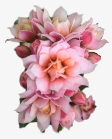 Bouquet Flowers Png Overlay Transparent Flower Lovely - Flower Png For Edits, Png Download, Free Download