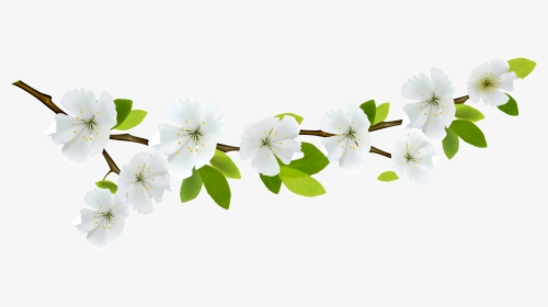 Branch And Flowers - Transparent Background Green Flower Png, Png Download, Free Download