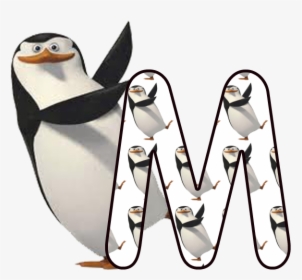 Oh My Alfabetos - Penguins Of Madagascar Transparent, HD Png Download, Free Download