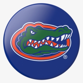 Florida Gators Basketball Logo , Transparent Cartoons - Florida Gators, HD Png Download, Free Download