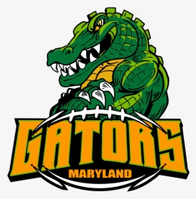 Florida Gators Logo Png - Gator Logo, Transparent Png, Free Download
