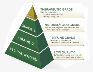 Introducing Young Living Essential Oils - Triangle, HD Png Download, Free Download