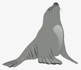 Sea Lion Clip Arts - Sea Lion Clipart, HD Png Download, Free Download
