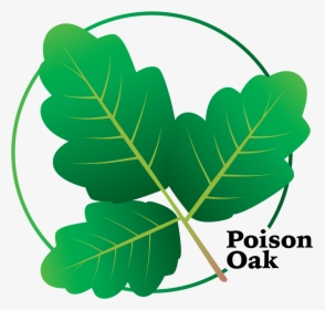 Poison Oak Clipart, HD Png Download, Free Download
