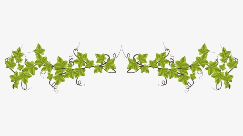 Plant,flora,leaf - Clip Art Green Divider, HD Png Download, Free Download