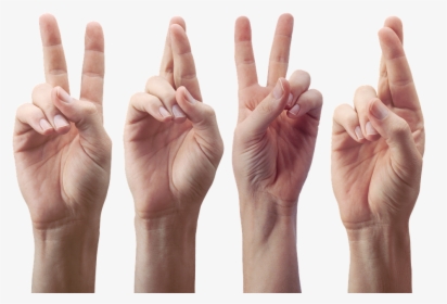 Hands, Fingers, The Gesture, Victory, Gestures - Sign Language, HD Png Download, Free Download