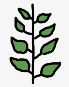 Plant, HD Png Download, Free Download