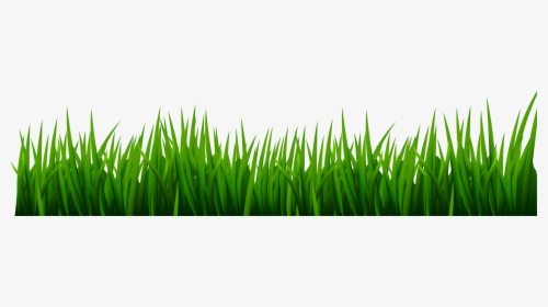 Green Grass Line Art, HD Png Download, Free Download