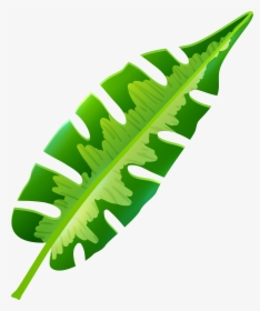 Tropical Leaf Png Clip Art, Transparent Png, Free Download