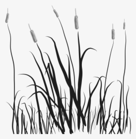 Marsh Cattail Clip Art - Cat Tail Plant Png, Transparent Png, Free Download