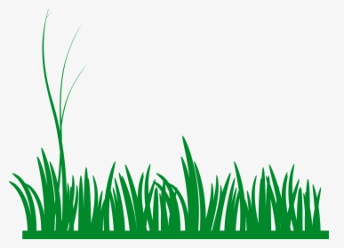 Grass, Lawn, Green, Nature, Meadow, Field, Growth - Grass Clip Art, HD Png Download, Free Download