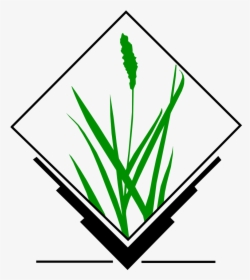 Grass Gis, HD Png Download, Free Download
