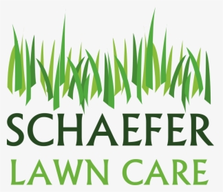 Lawn Care Clipart Grass Pattern, HD Png Download, Free Download