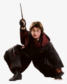 Wand harry gets his Every Wand