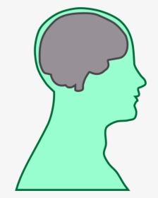 Cartoon Head With Brain, HD Png Download, Free Download
