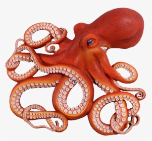 Octopus Free Download Png Hq - Octopus Png, Transparent Png, Free Download