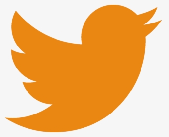 Twitter Logo Orange 18 Jun - Teal Twitter Icon, HD Png Download, Free Download