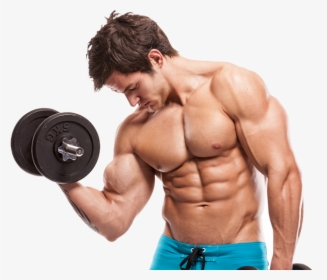 Weight Training Kinetix Gym Pinellas Park - Body Builders, HD Png Download, Free Download