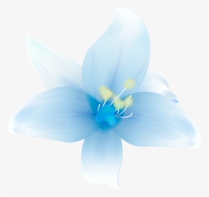 Clip Art Large White Flower - Cattleya, HD Png Download, Free Download