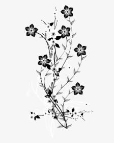 white flower transparent background