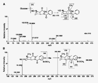 Structural Elucidation Of Novel Cocaine Metabolites - Cocaine Msms, HD Png Download, Free Download