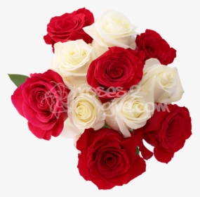 Red Combination"  Title="white - White And Red Rose Combination, HD Png Download, Free Download