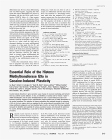 Document, HD Png Download, Free Download
