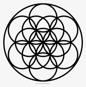 Flower Of Life Coloring Page - Seed Of Life 4, HD Png Download, Free Download