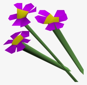 Osrs Flowers, HD Png Download, Free Download