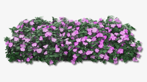 Pink Flower Bush Png, Transparent Png, Free Download