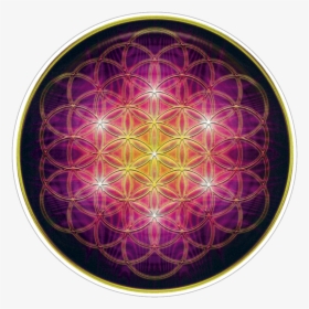 Flower Of Life - Circle, HD Png Download, Free Download