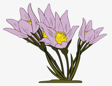 Flowers Clipart, HD Png Download, Free Download