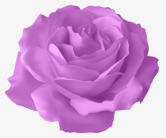 Blue Rose Flower, HD Png Download, Free Download