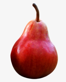 Red Pears Png, Transparent Png, Free Download
