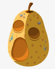 Tww Hyoi Pear Artwork - Hyoi Pear, HD Png Download, Free Download