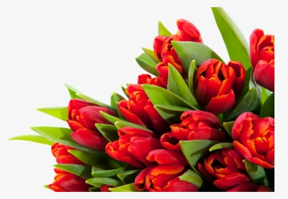 Bouquet Flowers Png - Папа С Днём Рождения, Transparent Png, Free Download