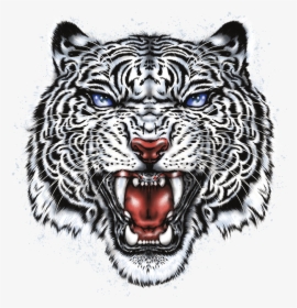 Tiger Head Png - White Tiger Head Png, Transparent Png, Free Download