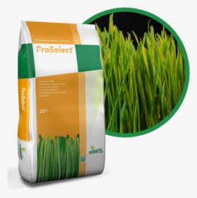 Proselect Turf Grass, HD Png Download, Free Download