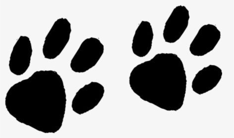 Raccoon Footprints Png Transparent Images - Animal Footprints Png, Png Download, Free Download