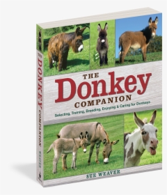Cover, HD Png Download, Free Download
