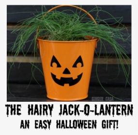 Hairy Jack O Lantern Pin - Jack-o'-lantern, HD Png Download, Free Download