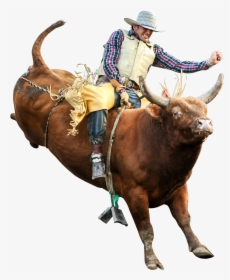 Clip Art Riding Professional Riders Rodeo - Bull Riding Png, Transparent Png, Free Download