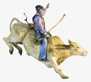 Bull-riding - Bull Riding, HD Png Download, Free Download