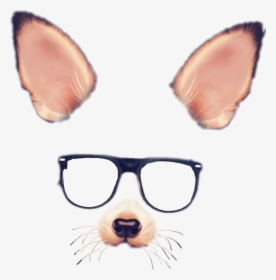 Spectacles Snapchat Photographic Filter - Snapchat Face Filters Png, Transparent Png, Free Download