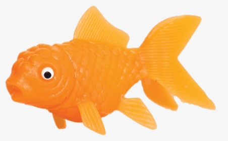 Plastic Goldfish - Squirting Goldfish, HD Png Download, Free Download