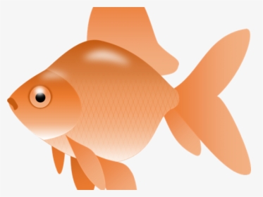 Transparent Goldfish Snack Png - Transparent Goldfish Clipart, Png Download, Free Download